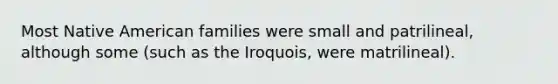 Most Native American families were small and patrilineal, although some (such as the Iroquois, were matrilineal).