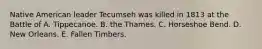 Native American leader Tecumseh was killed in 1813 at the Battle of A. Tippecanoe. B. the Thames. C. Horseshoe Bend. D. New Orleans. E. Fallen Timbers.