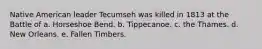 Native American leader Tecumseh was killed in 1813 at the Battle of a. Horseshoe Bend. b. Tippecanoe. c. the Thames. d. New Orleans. e. Fallen Timbers.