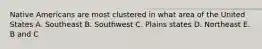 Native Americans are most clustered in what area of the United States A. Southeast B. Southwest C. Plains states D. Northeast E. B and C