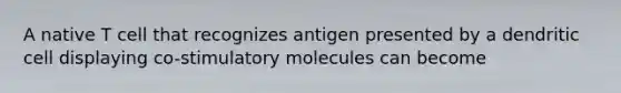 A native T cell that recognizes antigen presented by a dendritic cell displaying co-stimulatory molecules can become