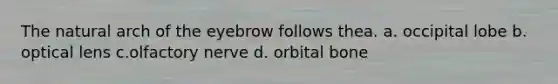 The natural arch of the eyebrow follows thea. a. occipital lobe b. optical lens c.olfactory nerve d. orbital bone