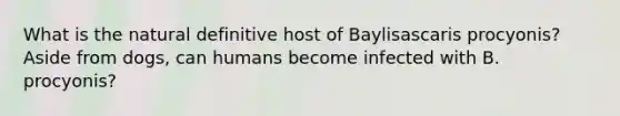 What is the natural definitive host of Baylisascaris procyonis? Aside from dogs, can humans become infected with B. procyonis?