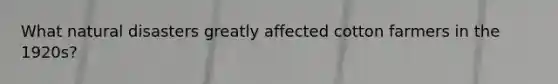 What natural disasters greatly affected cotton farmers in the 1920s?