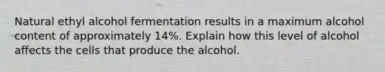 Natural ethyl alcohol fermentation results in a maximum alcohol content of approximately 14%. Explain how this level of alcohol affects the cells that produce the alcohol.