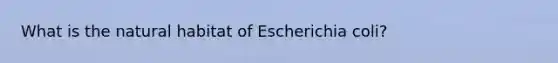 What is the natural habitat of Escherichia coli?