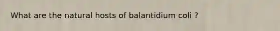 What are the natural hosts of balantidium coli ?