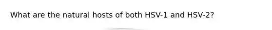 What are the natural hosts of both HSV-1 and HSV-2?