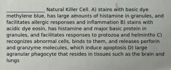 ________________ Natural Killer Cell. A) stains with basic dye methylene blue, has large amounts of histamine in granules, and facilitates allergic responses and inflammation B) stains with acidic dye eosin, has histamine and major basic protein in granules, and facilitates responses to protozoa and helminths C) recognizes abnormal cells, binds to them, and releases perforin and granzyme molecules, which induce apoptosis D) large agranular phagocyte that resides in tissues such as <a href='https://www.questionai.com/knowledge/kLMtJeqKp6-the-brain' class='anchor-knowledge'>the brain</a> and lungs