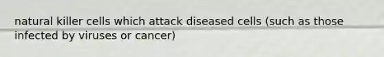 natural killer cells which attack diseased cells (such as those infected by viruses or cancer)