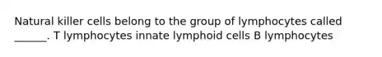 Natural killer cells belong to the group of lymphocytes called ______. T lymphocytes innate <a href='https://www.questionai.com/knowledge/kUNxwJ5MWQ-lymphoid-cells' class='anchor-knowledge'>lymphoid cells</a> B lymphocytes