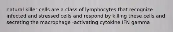 natural killer cells are a class of lymphocytes that recognize infected and stressed cells and respond by killing these cells and secreting the macrophage -activating cytokine IFN gamma