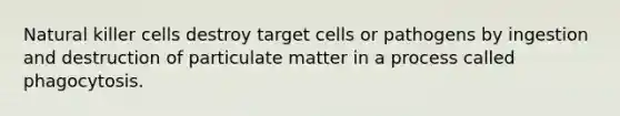 Natural killer cells destroy target cells or pathogens by ingestion and destruction of particulate matter in a process called phagocytosis.