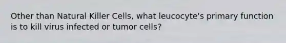 Other than Natural Killer Cells, what leucocyte's primary function is to kill virus infected or tumor cells?