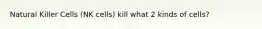 Natural Killer Cells (NK cells) kill what 2 kinds of cells?