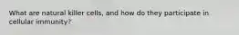 What are natural killer cells, and how do they participate in cellular immunity?