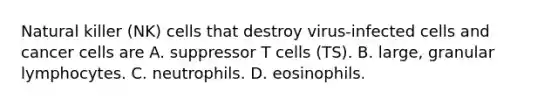 Natural killer (NK) cells that destroy virus-infected cells and cancer cells are A. suppressor T cells (TS). B. large, granular lymphocytes. C. neutrophils. D. eosinophils.