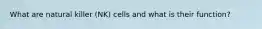 What are natural killer (NK) cells and what is their function?