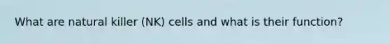 What are natural killer (NK) cells and what is their function?