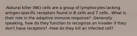 -Natural killer (NK) cells are a group of lymphocytes lacking antigen-specific receptors found in B cells and T cells. -What is their role in the adaptive immune response? -Generally speaking, how do they function to recognize an invader if they don't have receptors? -How do they kill an infected cell?