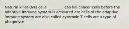 Natural killer (NK) cells ________. can kill cancer cells before the adaptive immune system is activated are cells of the adaptive immune system are also called cytotoxic T cells are a type of phagocyte