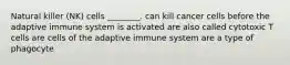 Natural killer (NK) cells ________. can kill cancer cells before the adaptive immune system is activated are also called cytotoxic T cells are cells of the adaptive immune system are a type of phagocyte