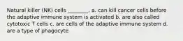 Natural killer (NK) cells ________. a. can kill cancer cells before the adaptive immune system is activated b. are also called cytotoxic T cells c. are cells of the adaptive immune system d. are a type of phagocyte