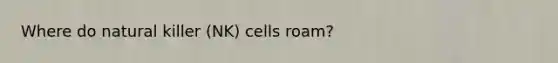 Where do natural killer (NK) cells roam?