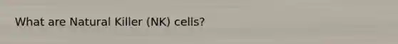 What are Natural Killer (NK) cells?