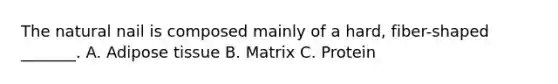 The natural nail is composed mainly of a hard, fiber-shaped _______. A. Adipose tissue B. Matrix C. Protein