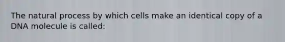 The natural process by which cells make an identical copy of a DNA molecule is called: