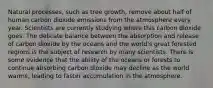 Natural processes, such as tree growth, remove about half of human carbon dioxide emissions from the atmosphere every year. Scientists are currently studying where this carbon dioxide goes. The delicate balance between the absorption and release of carbon dioxide by the oceans and the world's great forested regions is the subject of research by many scientists. There is some evidence that the ability of the oceans or forests to continue absorbing carbon dioxide may decline as the world warms, leading to faster accumulation in the atmosphere.