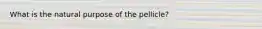 What is the natural purpose of the pellicle?
