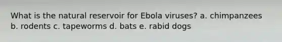 What is the natural reservoir for Ebola viruses? a. chimpanzees b. rodents c. tapeworms d. bats e. rabid dogs