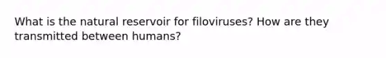 What is the natural reservoir for filoviruses? How are they transmitted between humans?