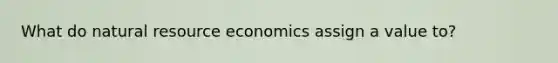 What do natural resource economics assign a value to?