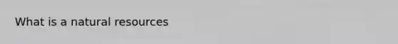 What is a <a href='https://www.questionai.com/knowledge/k6l1d2KrZr-natural-resources' class='anchor-knowledge'>natural resources</a>