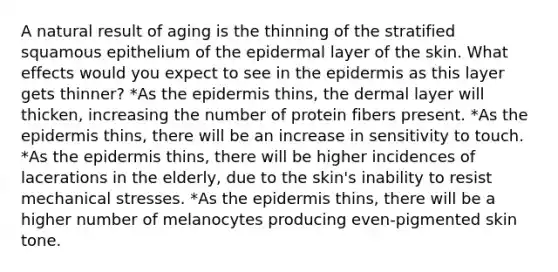 A natural result of aging is the thinning of the stratified squamous epithelium of the epidermal layer of the skin. What effects would you expect to see in the epidermis as this layer gets thinner? *As the epidermis thins, the dermal layer will thicken, increasing the number of protein fibers present. *As the epidermis thins, there will be an increase in sensitivity to touch. *As the epidermis thins, there will be higher incidences of lacerations in the elderly, due to the skin's inability to resist mechanical stresses. *As the epidermis thins, there will be a higher number of melanocytes producing even-pigmented skin tone.