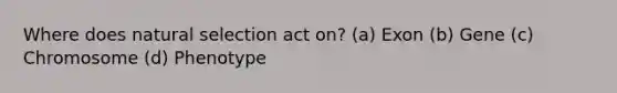 Where does natural selection act on? (a) Exon (b) Gene (c) Chromosome (d) Phenotype