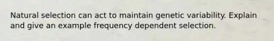 Natural selection can act to maintain genetic variability. Explain and give an example frequency dependent selection.