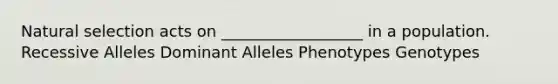 Natural selection acts on __________________ in a population. Recessive Alleles Dominant Alleles Phenotypes Genotypes