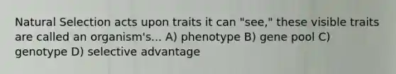 Natural Selection acts upon traits it can "see," these visible traits are called an organism's... A) phenotype B) gene pool C) genotype D) selective advantage