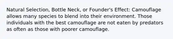 Natural Selection, Bottle Neck, or Founder's Effect: Camouflage allows many species to blend into their environment. Those individuals with the best camouflage are not eaten by predators as often as those with poorer camouflage.