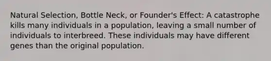 Natural Selection, Bottle Neck, or Founder's Effect: A catastrophe kills many individuals in a population, leaving a small number of individuals to interbreed. These individuals may have different genes than the original population.