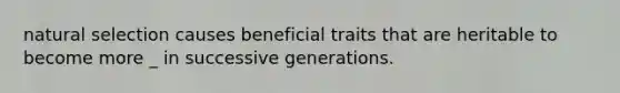 natural selection causes beneficial traits that are heritable to become more _ in successive generations.