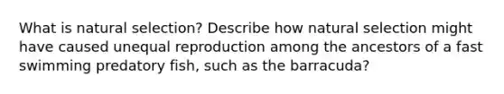 What is natural selection? Describe how natural selection might have caused unequal reproduction among the ancestors of a fast swimming predatory fish, such as the barracuda?