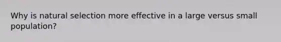 Why is natural selection more effective in a large versus small population?