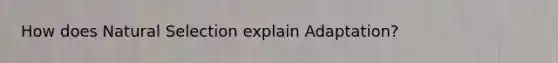 How does Natural Selection explain Adaptation?