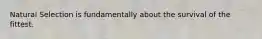 Natural Selection is fundamentally about the survival of the fittest.