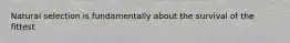 Natural selection is fundamentally about the survival of the fittest